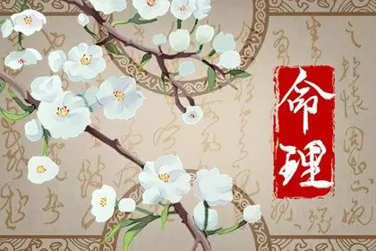 称骨算命四两八钱男命 平生福泽深厚插图