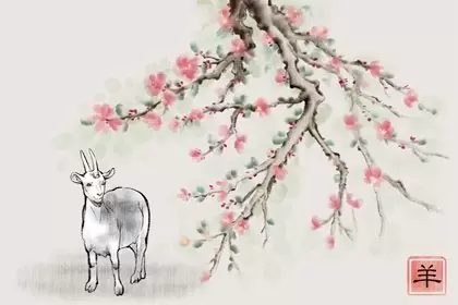 属羊二月二十三生日是什么命 男生与女生的性格特点插图