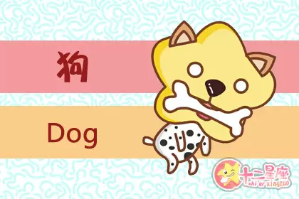 八面玲珑 情商最高的生肖女插图3
