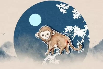 2004年属猴2023年运势及运程男性 04年属猴男全年运势插图