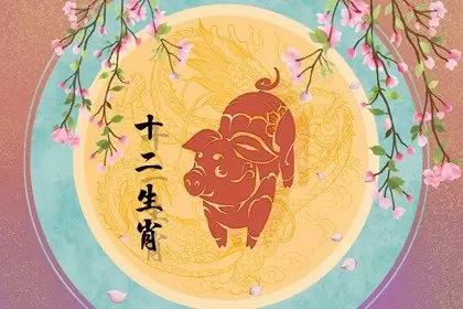 1995属猪2023年多大 运势运程分析插图