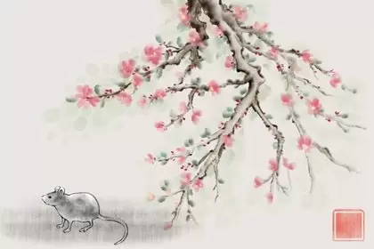 生肖每月运势详解 属鼠的2024年3月份运程插图