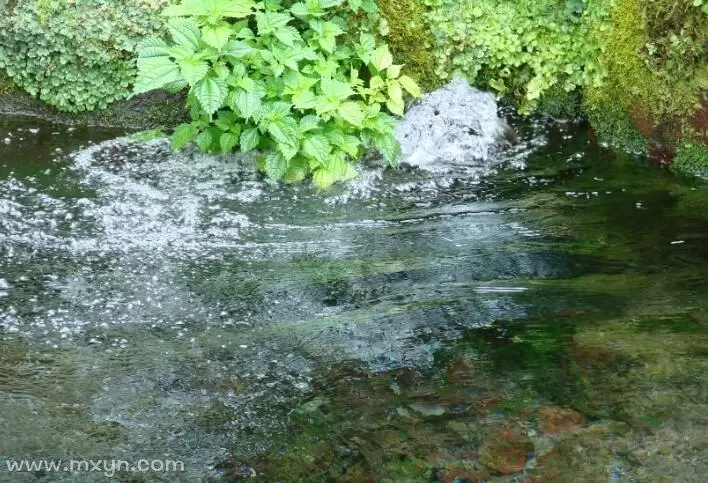 梦见一大片流动的水,梦见大片清澈的水域插图