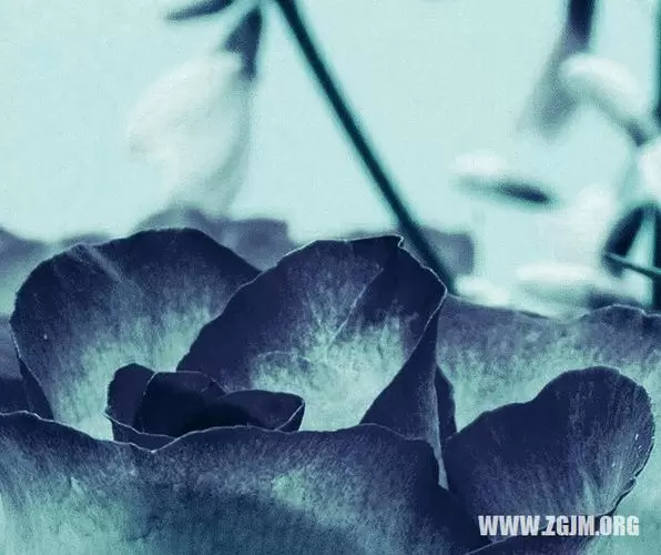 梦见和去世老人说话预示什么,梦见和死去的人说话好吗插图