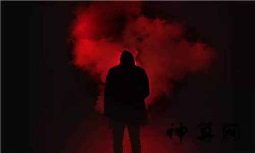 梦到家里去世的狗,梦到自己家里去世的狗怎么回事插图
