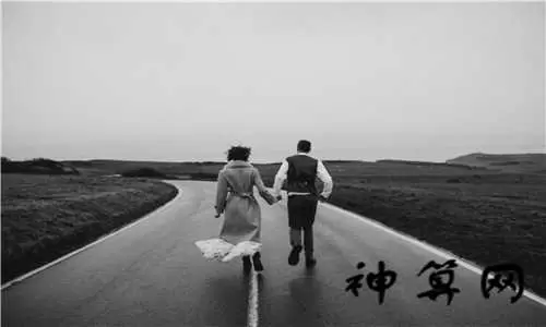 梦到家里跑进好多蛇,梦到蛇追着跑怎么回事插图