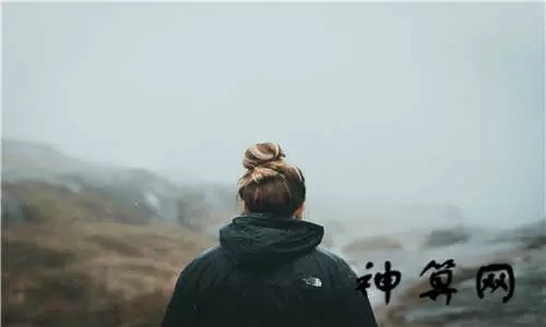 梦到家里有鸟生男生女,梦到鸟生了一窝小鸟插图