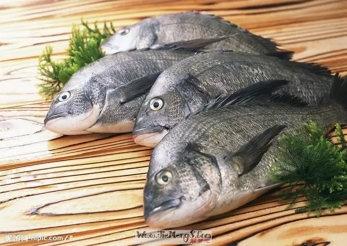 做梦梦到死了一条鱼,梦见一片死鱼插图