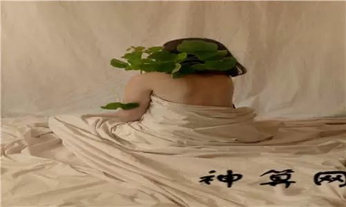 晚上做梦梦到火炮,做梦梦见大炮意味着什么插图