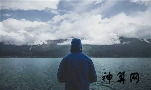 梦到家里有4只狗,梦见家里进来好几只狗插图