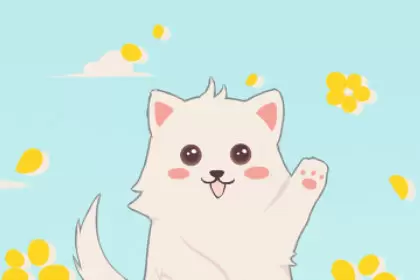 女人梦见可爱的小白狗什么意思插图