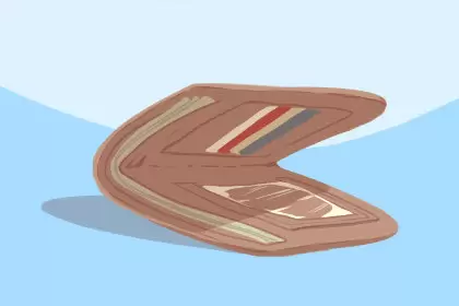 梦见很多钱是什么预示插图