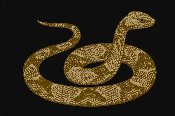 周公解梦大全查询免费梦见蛇 周公解梦旧版大全梦见蛇插图
