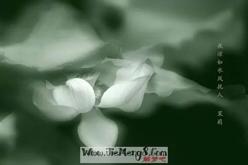 十大不吉利的梦,怀孕梦到不吉利的梦插图