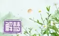 女人最近老梦见死人,老是梦见死去的人好不好插图