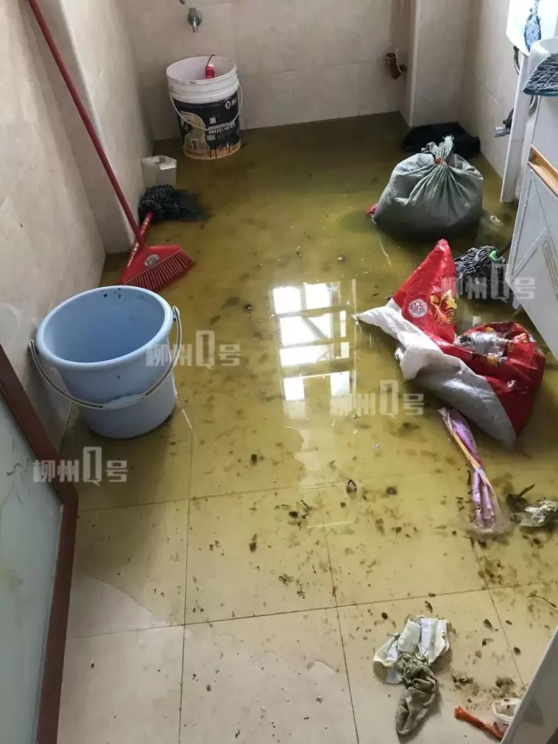 做梦屋里进粪水 做梦梦到屋里好多鸡屎插图