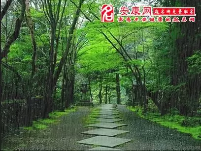 梦到下雨了是什么意思啊   周公解梦,梦到下雨是什么意思周公解梦插图