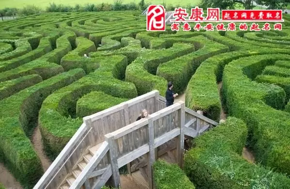 做梦梦到走迷宫和学校,做梦梦到身边人插图