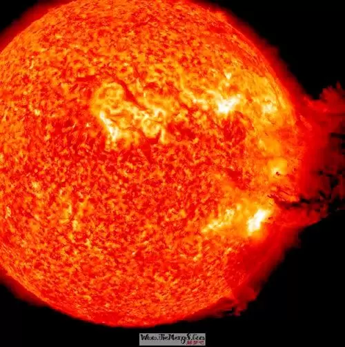 周公解梦梦到太阳 做梦梦到手拿一枝鲜花插图