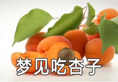 做梦梦到摘杏吃,做梦梦到身边人插图