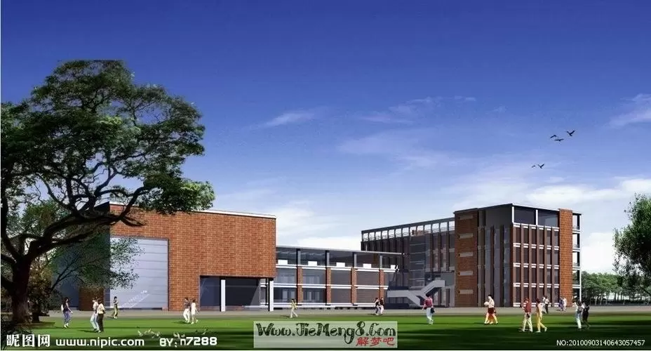 做梦梦到学校没录取插图
