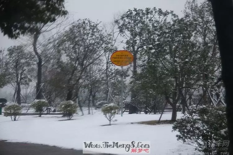 做梦梦见六月下雪 做梦梦见六月下雪是什么征兆插图