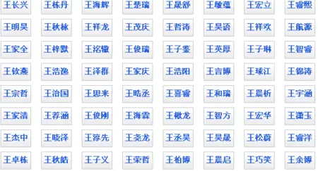 姓名配对超准 姓王的和姓什么的最配插图