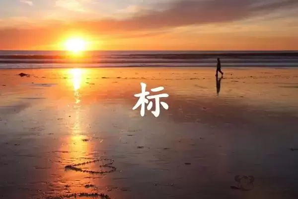 标字打一生肖（标字是什么生肖）插图