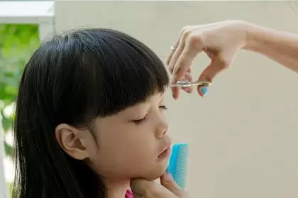 孩子怎么用赵陈取名插图 孩子怎么用赵陈取名插图