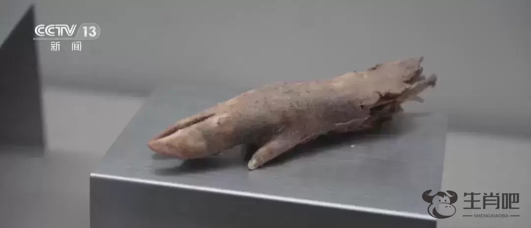 快看！这串北宋的葡萄，洗洗还能吃的样子插图