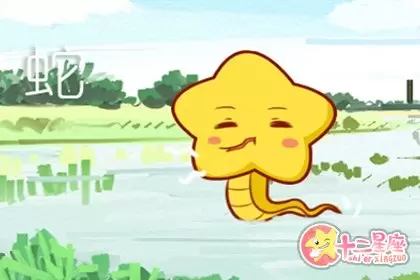 城府深到没有人看得透的生肖插图2