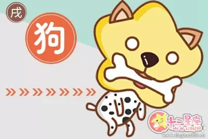 很理性 考虑情感问题很慎重冷静的生肖插图2