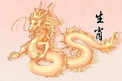 属龙和属虎的合吗 能结婚吗插图