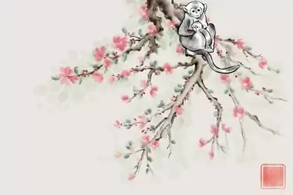几月的猴不与虎相克 几月生的不相冲插图