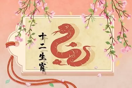 属蛇和属狗的属相相配吗，结婚好不好插图