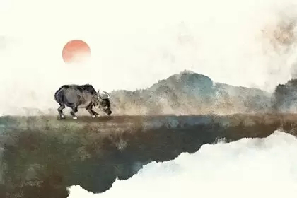 属牛的和属牛2023年感情婚姻运势 如何让爱情长久呢插图