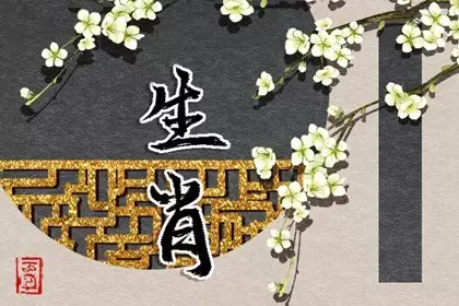 十二生肖特征和缺点 需要规避的缺点插图