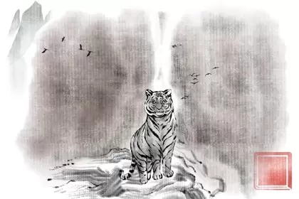 虎猴相冲有什么后果 会离婚吗？插图