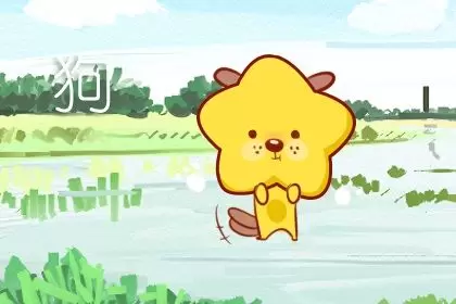 这些生肖有着高度运行的思维能力插图