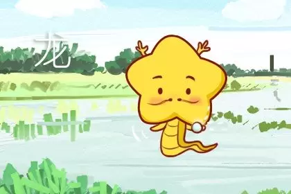 三分钟热度 事事难坚持的生肖插图1