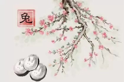 和属兔男最有缘分的生肖女 配合默契 相互迁就插图