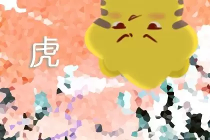 属虎的女的和什么属相不合婚 不配生肖插图