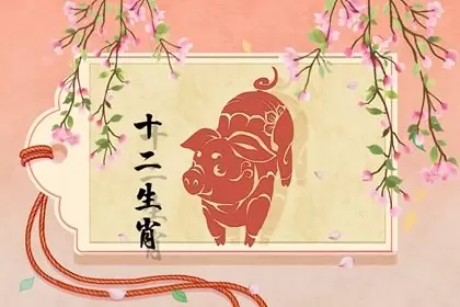 2023年属兔人和属猪的婚姻怎么样 虽有矛盾但还是幸福插图