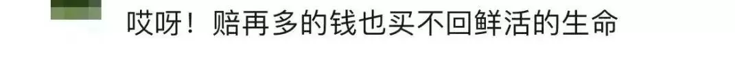 画面揪心！9岁女孩从小区秋千跌落身亡，父母伤心起诉！法院这样判插图12