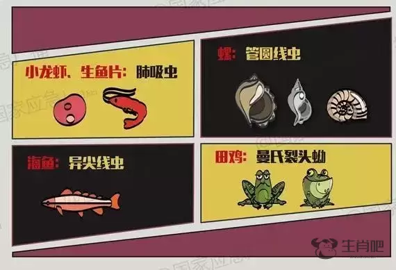 福寿螺冒充田螺卖？官方：已查封！高度警惕，误食可致死！插图2
