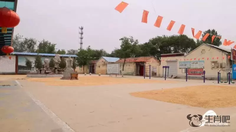 院子嘎嘎大，欢迎来晒粮！山东多地公共场所“开院晒粮”插图