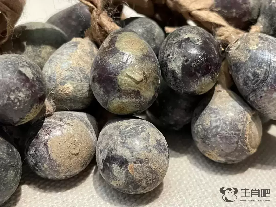 快看！这串北宋的葡萄，洗洗还能吃的样子插图3