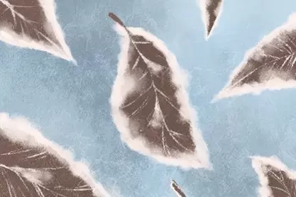 生辰八字查询贵人 准确的方法插图1