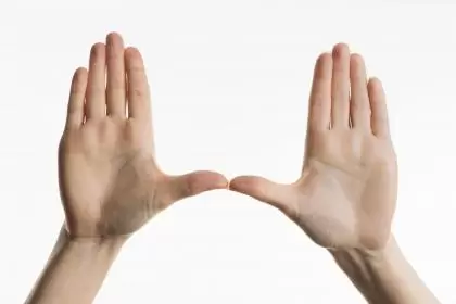 孩子可以取名叫赵紫什么,颜色取名好吗插图 孩子可以取名叫赵紫什么,颜色取名好吗插图