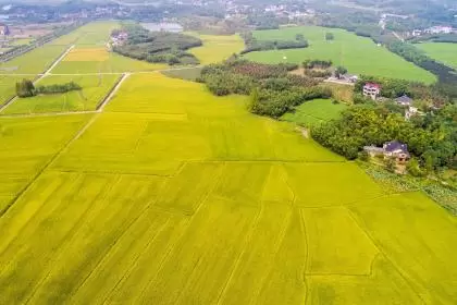 2018年秋分出生男孩五行属金名字推荐,五行缺金起名注意事项插图 2018年秋分出生男孩五行属金名字推荐,五行缺金起名注意事项插图